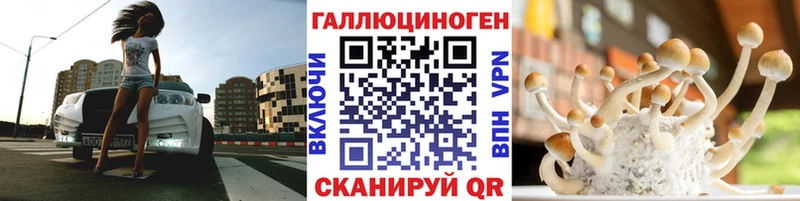 Галлюциногенные грибы Psilocybine cubensis  Советский 
