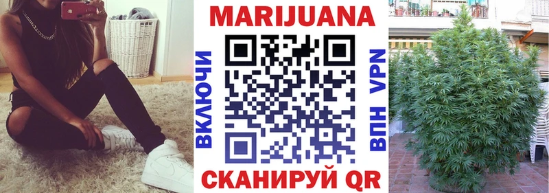 Шишки марихуана сатива  Советский 
